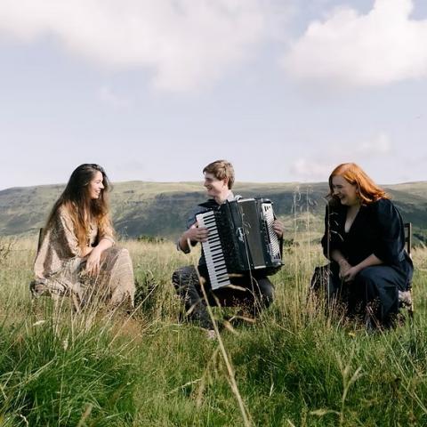 The Bubblyjock Collective